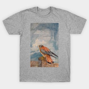 Transparent Time Traveling Hawk T-Shirt